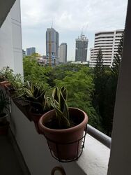 Blk 210 Jurong East Street 21 (Jurong East), HDB 3 Rooms #562101711